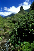 AA04 Maui -- Iao Valley & Needle
