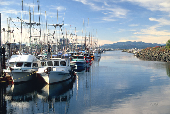 AA21 Vancouver Island -- British Columbia